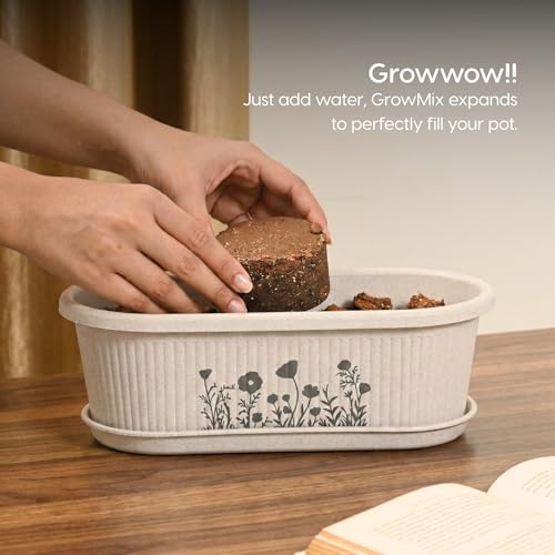 Image of Eha Earth-Friendly Printed Regalia Planters for Home Decor | 12 Inch, Pack of 2 with Growmix | Plant Gifts Made with Rice Husk Biocomposite | Flower Pot for Living Room| Sand Castle