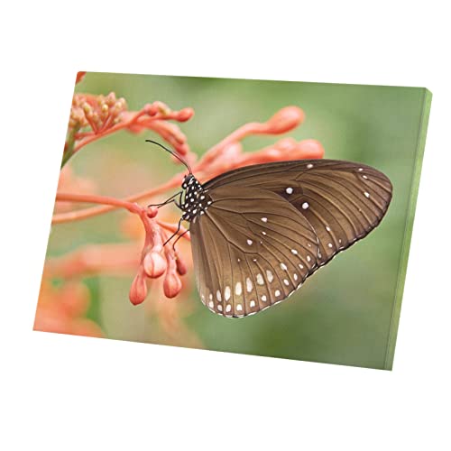 Tableau papillon noir toile imprimée décoration murale fleur nature