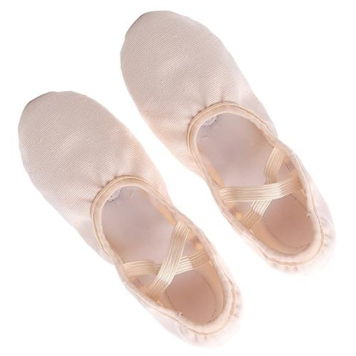 Healeved Zapatillas De Ballet para Hombre Diseño Sin Cordones Adecuado para Folclórica y Baile De Salón
