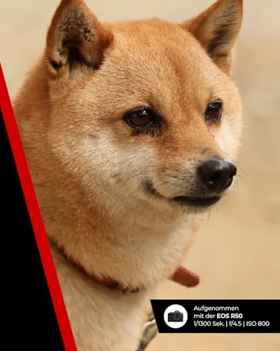 Canon RF 75-300mm F4-5.6 Objektiv | Leichtes Telezoom-Objektiv für Tier- & Sportfotografie | Mit Autofokus-Motor & Super-Spectra-Beschichtung | Kompatibel mit Canon EOS R Systemkameras