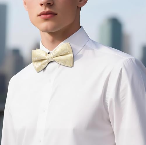Image of Barry.Wang Paisley Striped Bow Tie for Men Silk Pre-Tied Bowtie Pocket Square Cufflinks Set Formal Wedding Party Prom