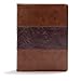 CSB Study Bible, Mahogany LeatherTouch