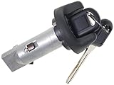 ACDelco Professional D1496G Ignition Lock Cylinder with Key