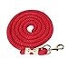 SPYMINNPOO 2m Horse Lunge Line Sturdy Anti Breakage Rope with Hook for Walking Handling, PP Stainless Steel Material (Red)