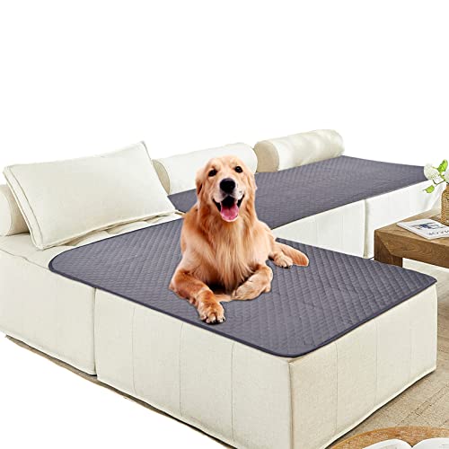 Los 5 Mejores Modelos De Sofa Cama Queretaro