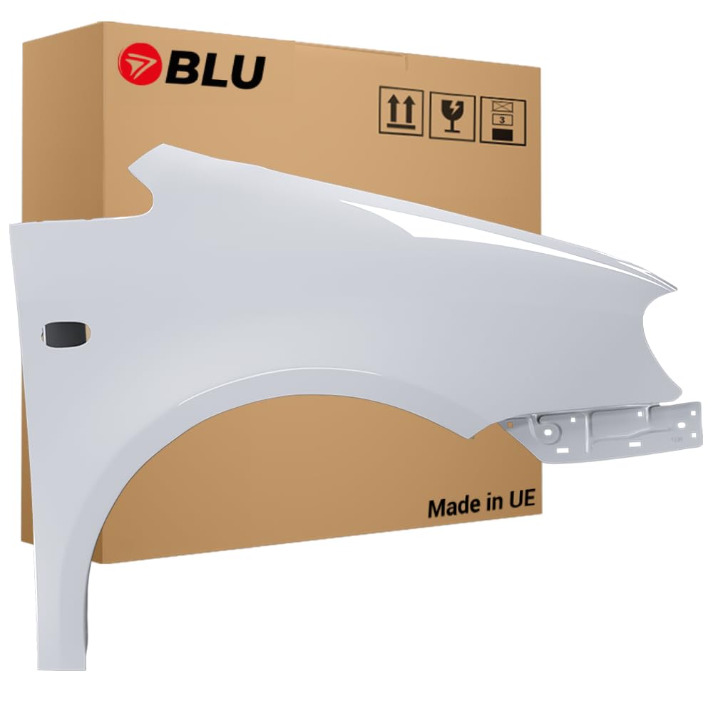 BLU Kotflügel Passend für Volkswagen Caddy III 3 2K LA7W Rechts Silber | 2004-2010 | Vorderseite Vorne | Lackiert | Einbaufertig