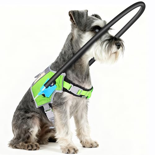 LetPetRun Halo Harness for Blind Dogs, Adjustable Safety Halo with Reflective Straps,Confidence Support Collar for Visually Impaired Pets,Blind Dog Navigation Aid (M)