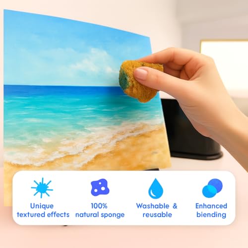 Natural Sea & Synthetic Sponges - Assorted Sizes 12pc Value Pack for Crafts & Artists: Multi - Purpose Art Supply for Professional Painting, Ceramics, Clay & Pottery Projects (12)