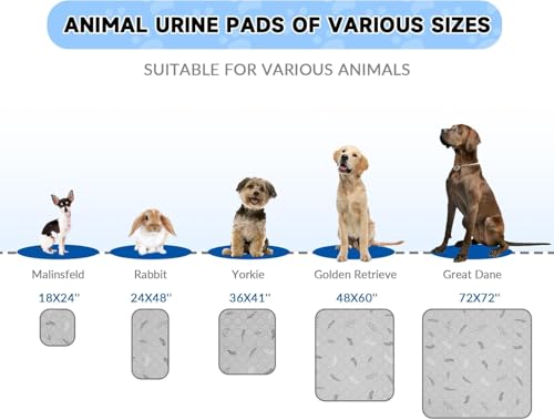 Image of Sunheir Washable Pee Pads for Dogs Large 24 inch x 72 inch 2-Pack Reusable Puppy Pads Pet Training Pads, Absorb Dog Mats, Whelping Pad, Non-Slip Protects Against Urine Leakage,Runner Rug (Leaves - Light Grey)