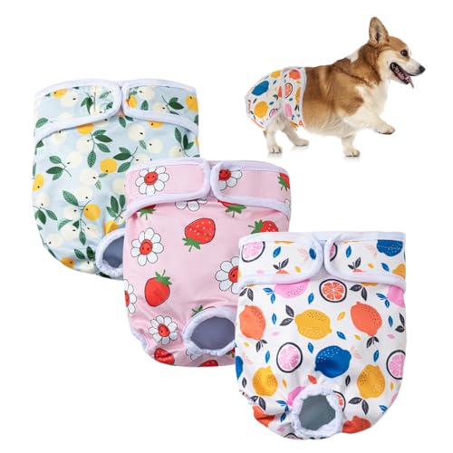 3 Pezzi Pannolini Lavabili per Cani Femmine, Pannolini Riutilizzabili, Mutande