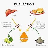 UpNourish Plant Sterols Citrus Bergamot Supplement with CoQ10, Omega 3, Olive Leaf, Turmeric Curcumin, Black Garlic and Niacin - 120 Softgels