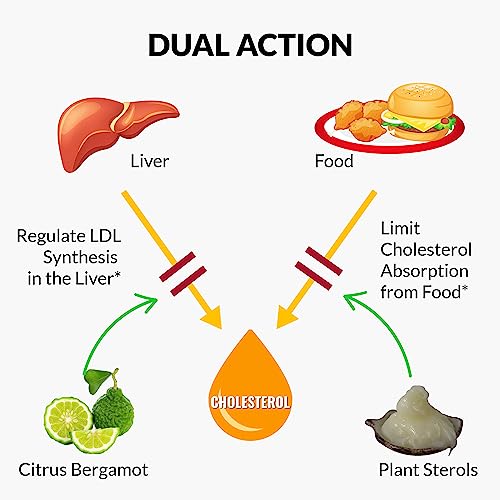 UpNourish Plant Sterols Citrus Bergamot Supplement with CoQ10, Omega 3, Olive Leaf, Turmeric Curcumin, Black Garlic and Niacin - 120 Softgels