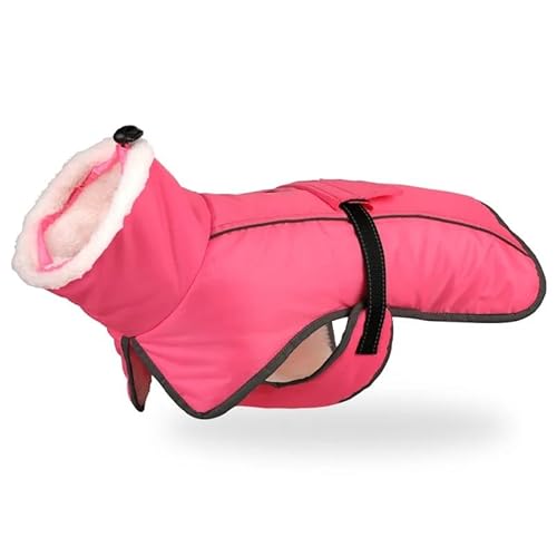 傫ȌWPbgEH[hbOEB^[R[gt`uhbOtNeBuhbOR[hR[gybgXm[WPbg,a,2xl