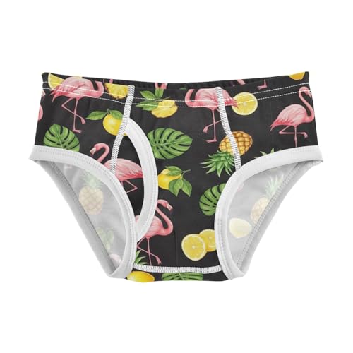 CHIFIGNO Boy Briefs Cotton Underwear Printed Soft Little Boys Brief Underwear, Tropical Pineapples Flamingos Black