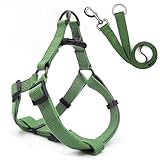 Pawhuggies Ensemble Harnais et Laisse pour Chien Vert, Tissu en Bambou Doux et Respirant, réglable, Doux pour la Promenade des Chiens de Taille Moyenne