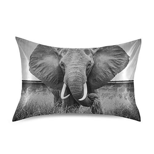 Blueangle Elephant Satin Pillowcase For Hair And Skin Silk Pillowcase, Queen Size(20X30 Inches) - Slip Cooling Satin Pillow Covers With Envelope Closure #TOP3