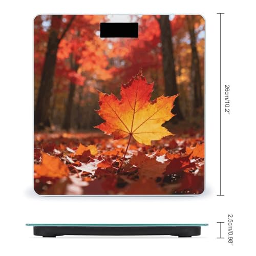 Báscula Digital Precisa de 180 kg con Pantalla LCD Grande miniatura 2