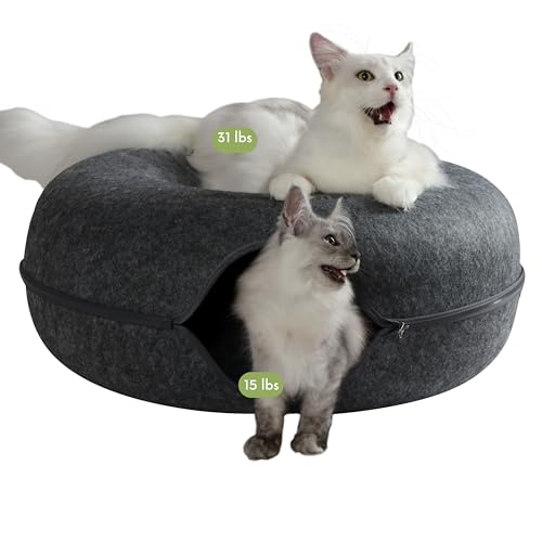 CATTASAURUS Peekaboo Cat Cave for Multiple & Large Cats Up