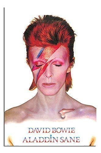Amazon.com: David Bowie Aladdin Sane Album Cover Poster Gloss