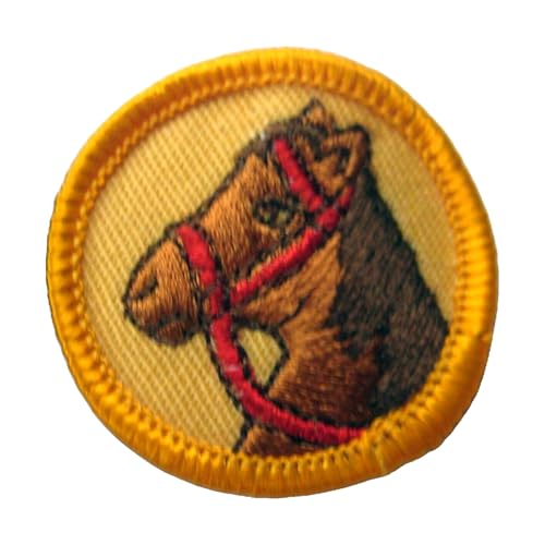 Vintage Girl Club 1980 2001 Junior Horse Rider Badge Head Patch Equestrian New