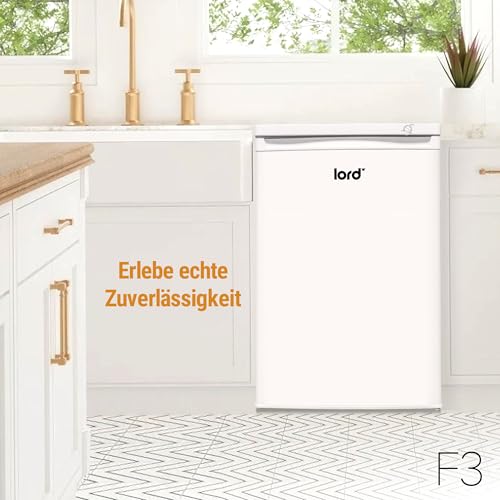 Lord F3 Gefrierschrank, 85 cm hoch, 91 L, Energieklasse E, 4 transparente Schubladen, leise 40 dB, freistehend, weiß