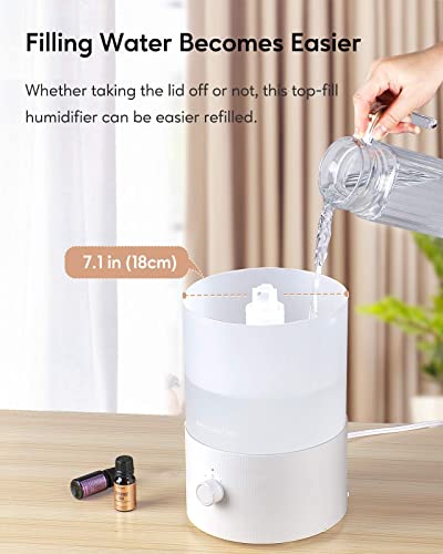 https://m.media-amazon.com/images/I/41AWudxg5mL._SL500_.jpg