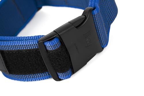 JULIUS K-9 100HA-K-B-2015 Color & Gray K9-Halsband mit Haltegriff, Sicherheitsverschluss und Logo, 40 mm*38-53 cm, verstellbar, blau-grau, 40 mm (38-53 cm)