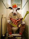 Puzzle One Piece 1000 Piezas Revista De Lectura De Animales De Vaca En El Baño, Rompecabezas De Madera, Arte De Pintura Al Óleo, Niño O Un Amigo, Juguetes E 38X52Cm