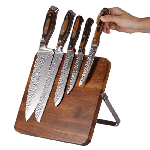 XVVXCނ̗ʒ^CiCtz_[AfBXvCbNA@\ÁAO\ȎCiCtz_[AؐB (24×24×2cm) [sAi]