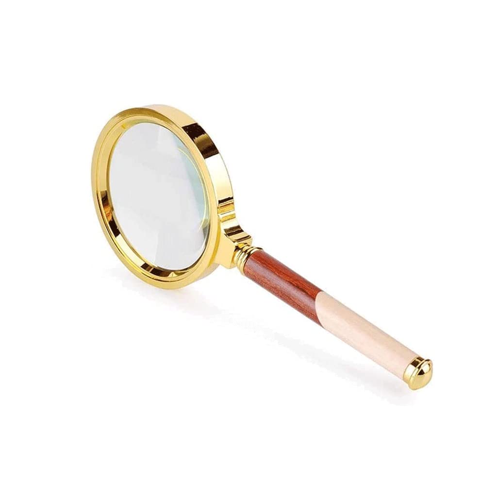Rieort Lente Ingrandimento Lente d'Ingrandimento palmare HD 10 Volte Potente Lente d'Ingrandimento da 70/80 mm Bambini Studenti Lente d'Ingrandimento per Lettura anziana più Chiaro