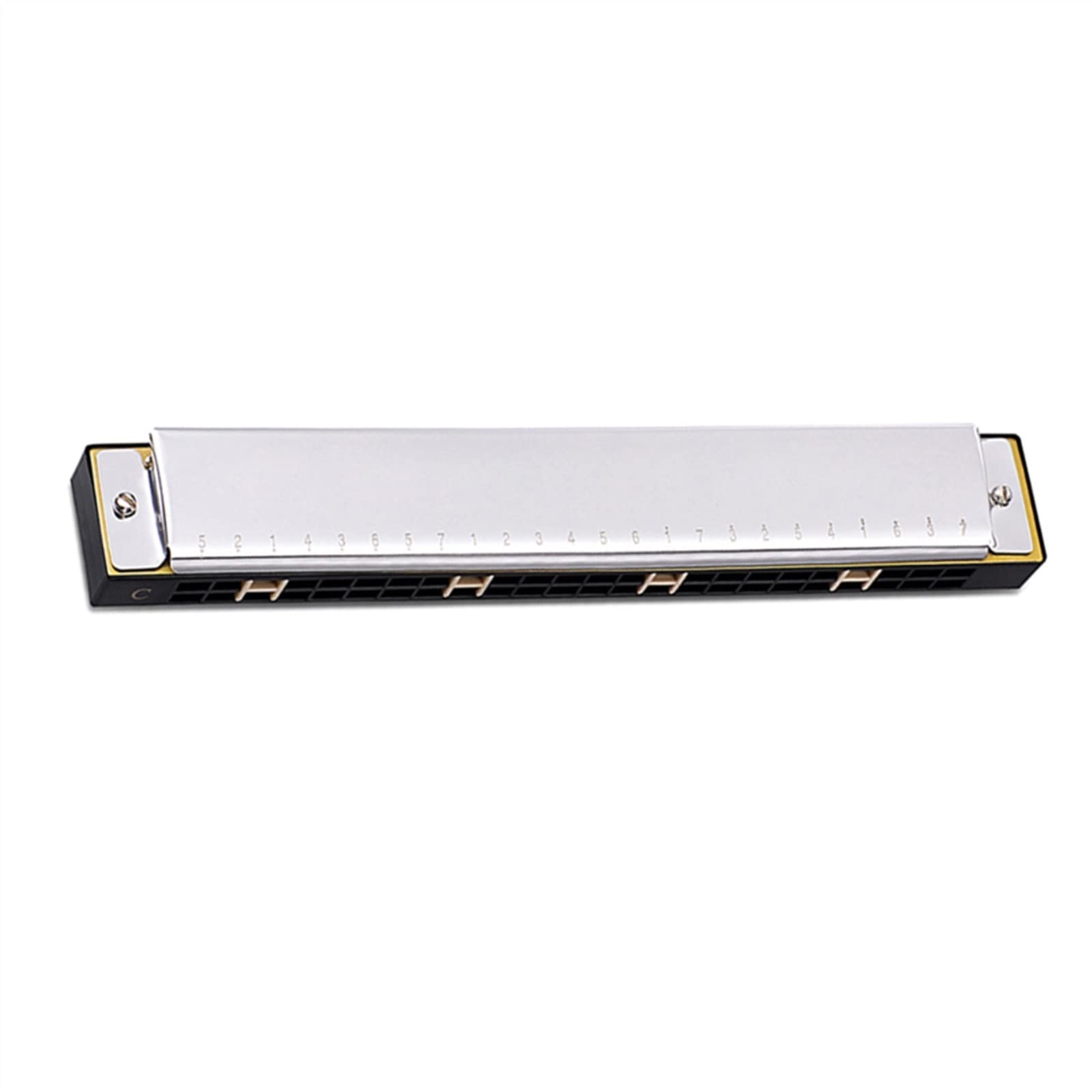 24-dołkowa Profesjonalna Harmonijka Dla Początkujących Diatoniczna Podwójna Harmonijka Tremolo Na Prezent Harmonijka Dla Początkujących (Color : Silver)
