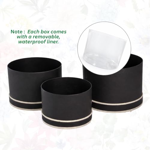 Image of Oasis Pack of 3 Premium Gift & Flower Hamper Boxes With Lid | Classic Bouquet Box for Flower Arrangements & Gift Hampers | Decorative Gift Packaging Box With Waterproof Liner - Cream & Brown