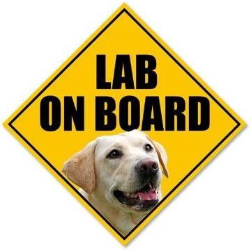 Yellow Lab Sign Amazon.com: Magnet Yellow LAB ON Board Sign Shaped Magnetic Sticker ...
