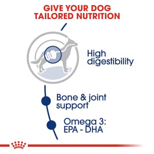 Royal Canin Maxi Adult Dog Food - Image 2 of 5