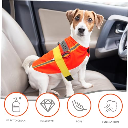 Disfraz para perro en poliéster resistente talla L miniatura 7