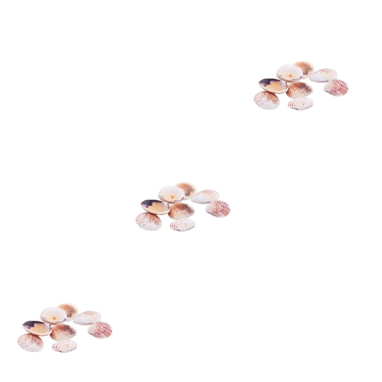 Perles de coquillages naturels avec trous pour création de bijoux faits main