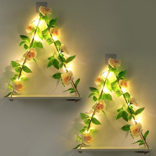 JOPSTDI Floating Shelves for Wall,Plant Wall Decor,Hanging Shelf,Cottage Core Decor,Room