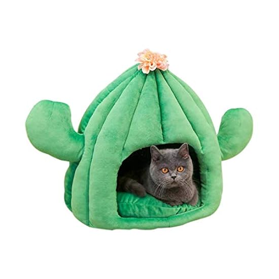 須崎動物病院 マウスリセット&クマ笹エキスセット 楽天市場】【獣医師