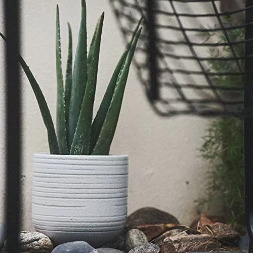 HERDUK Modern Ceramic Pottery Planter for Indoor Plants, White Minimalist Indoor Planter with Drainage, Contemporary Decorative Pot for Living Room, Office & Shelf Styling by HERDUK - Image 5