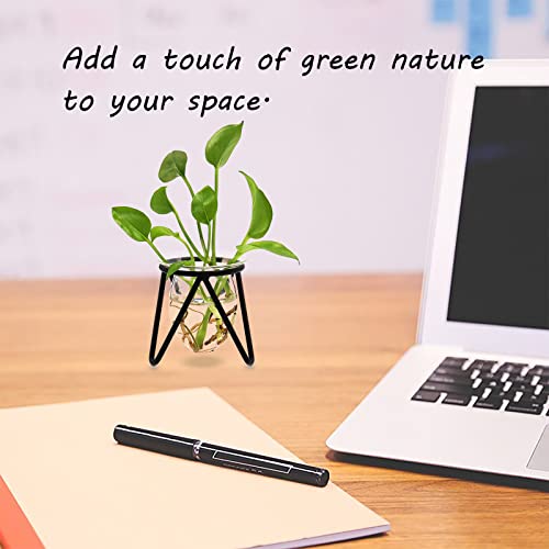 Sosfkim Plant Terrarium With Metal Stand, Desktop Air Planter Bulb Glass Vase For Indoor Live Hydroponics Plants Home Garden Office Decoration… #TOP1