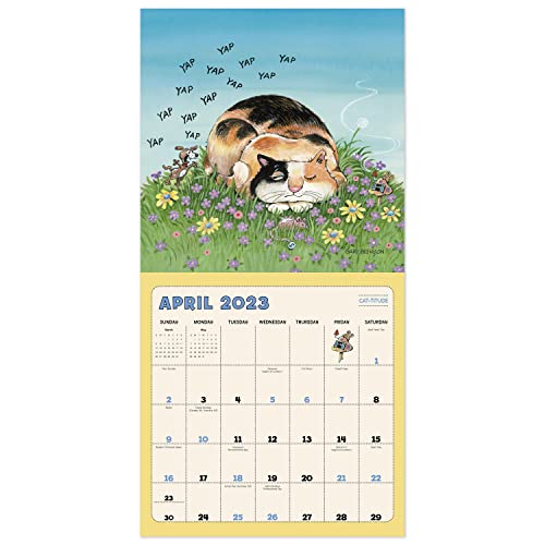 2023 Gary Patterson’s Cats Monthly Wall Calendar, 16 Months, 12" X 12" (Ddd5502823) #TOP7