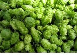 Cascade Leaf Hop 1oz