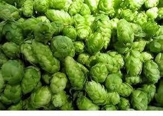 Cascade Leaf Hop 1oz