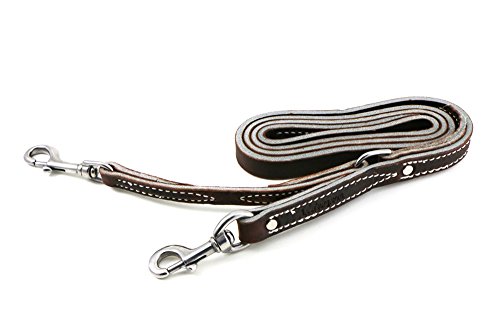 Leerburg's Brown Latigo Leather Prong Collar Leash 6 Foot by 3/4 inch, Stainless Steel Hardware, Stainless Steel Rivets, Stainless Steel D-Ring, Pinch Collar Training Leash, Amish Made in WI