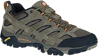 Merrell Men's Moab 2 Vent Hiking Shoe, Walnut, 10.5 M US