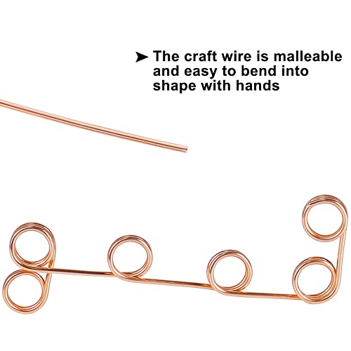 Tenn Well 12 Gauge Aluminum Wire, 100 Feet 2Mm Bendable Anodized Metal Wire For Sculpting, Jewelry Making, Armature Making, Wire Weaving, Plant Support, Crafting (Copper) #TOP1