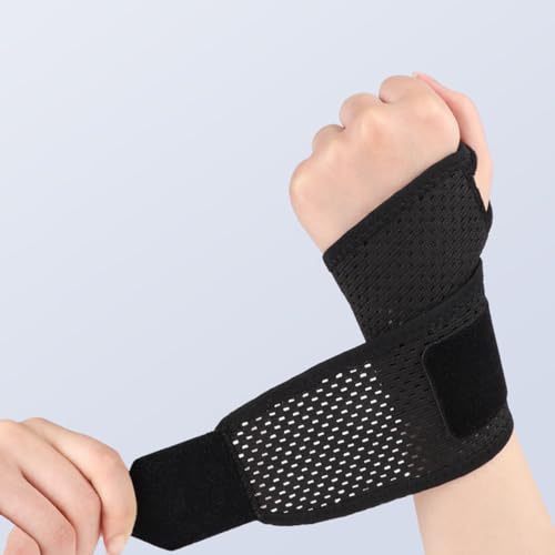 Ladruph  T|[^[ ʋCbV F ֐ Œ e/yʒʋC  T|[^[  z h~ ^ X|[c Ǝ 玙 p\R X}z jp (ubN)