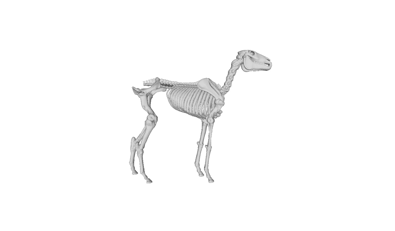 Printle Animal Horse Skeleton 03-Skeleton Horse Standing Spooky Scary Halloween Decorations Educational Model Toy Figure for Dioramas and Model Train