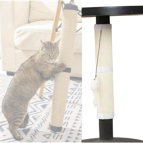 lY~̂t  L ܌ VR ϖ ܂ƂV[g 25/36cm SL\t@veN^[ c[X^ȟi DIYRȑgݗ ȃXy[X \ȔS Ƌ jh~ \t@ ʋC ȒP lGΉ pr Xg