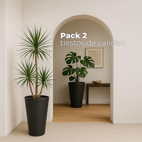 Miniatura 6 de Maceteros Altos Interior. Macetero Grande Interior Maceta Alta Exterior Y Terraza. 30 Cm 2 Uds Maceteros Decorativos De Plastico Jardinera Alta Maceteros Largos Y Estrechos